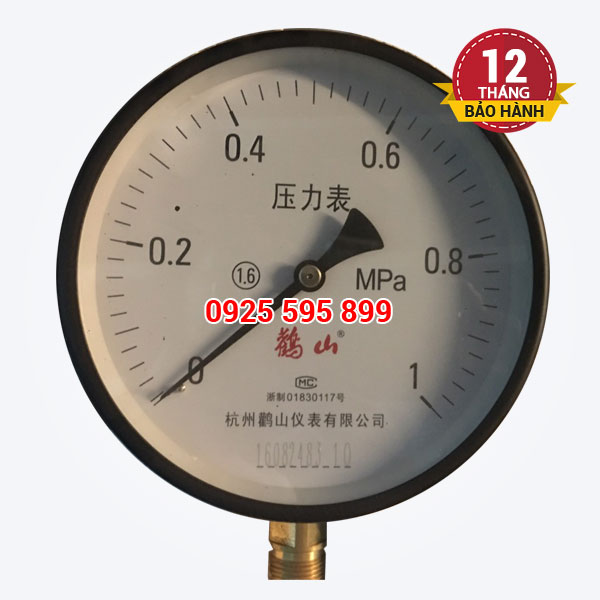 Đồng hồ đo áp P10-D150 (Đài Loan)