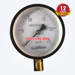 Đồng hồ đo áp P25-D100 (Đài Loan)