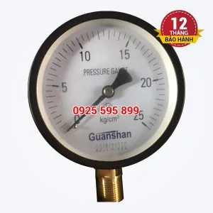 Đồng hồ đo áp P25-D100 (Đài Loan)