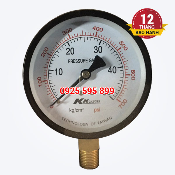 Đồng hồ đo áp P50-D100 (Đài Loan)